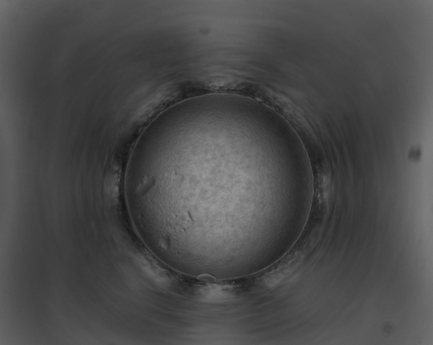 X0000096640664200802121111
