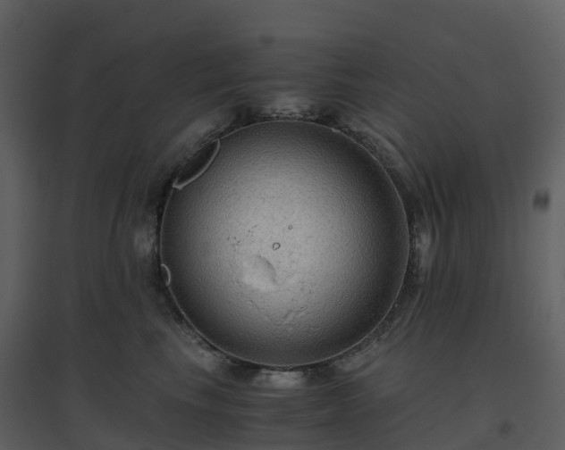 X0000096640665200802121111