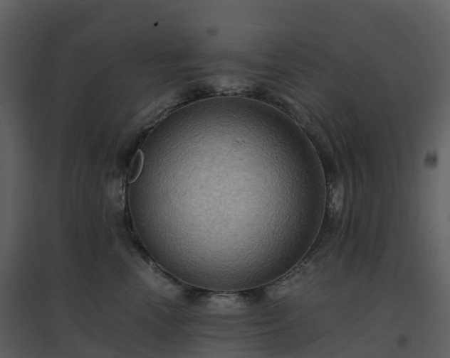 X0000096640666200802121111