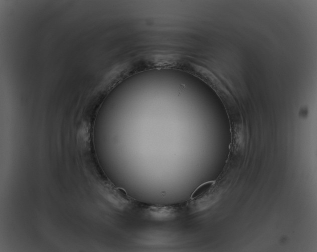 X0000096640667200802121111