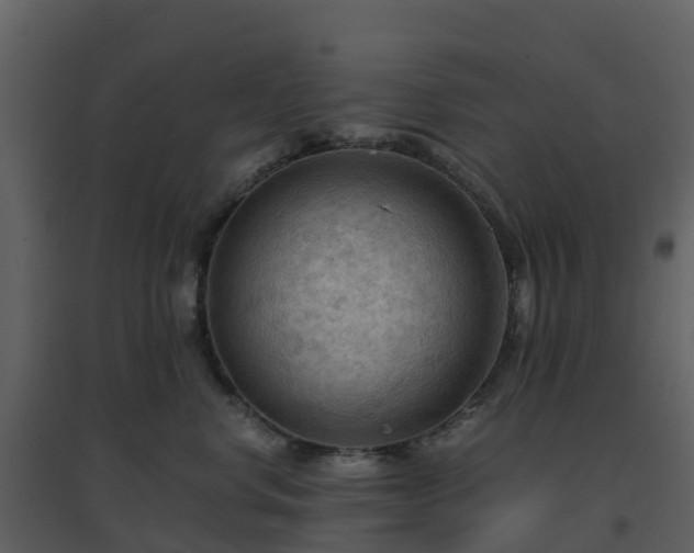 X0000096640668200802121111