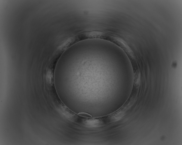 X0000096640669200802121111