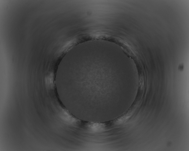 X0000096640670200802121111