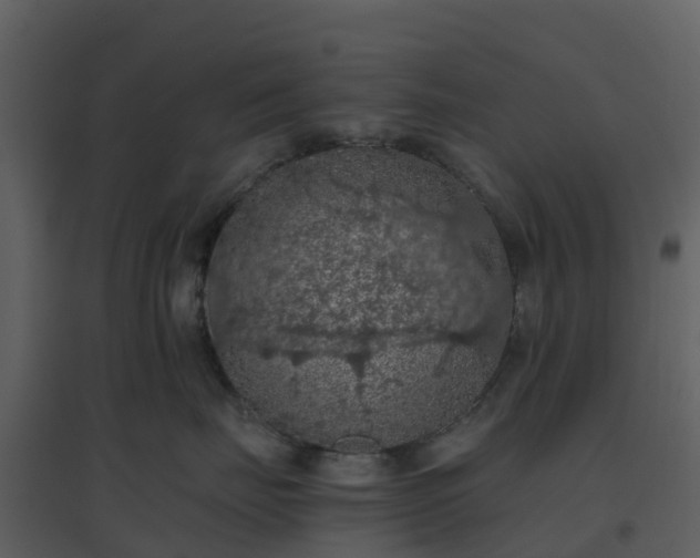 X0000096640671200802121111