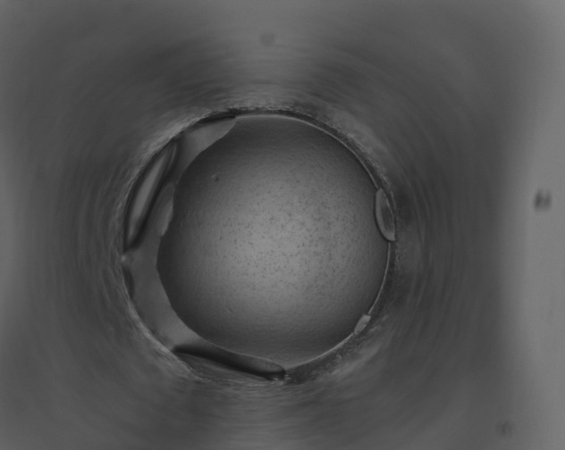 X0000096640673200802121111