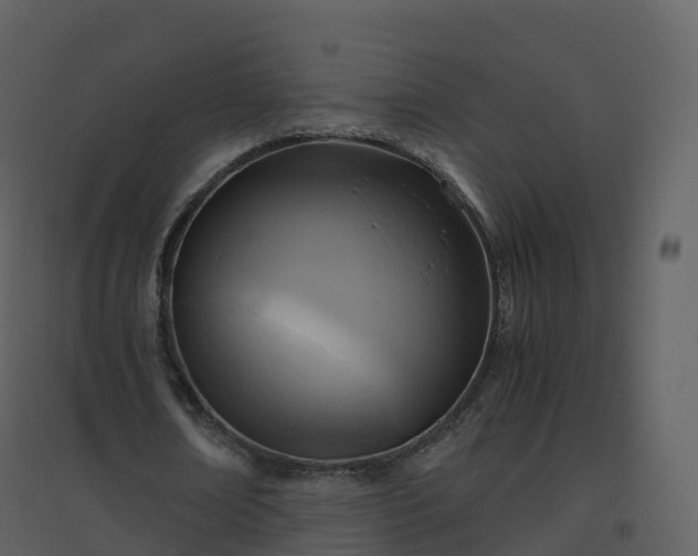 X0000096640674200802121111