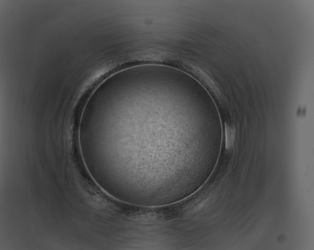 X0000096640675200802121111