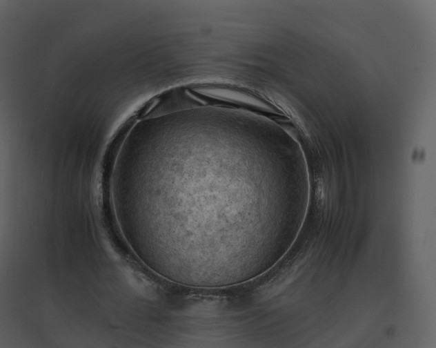 X0000096640676200802121111