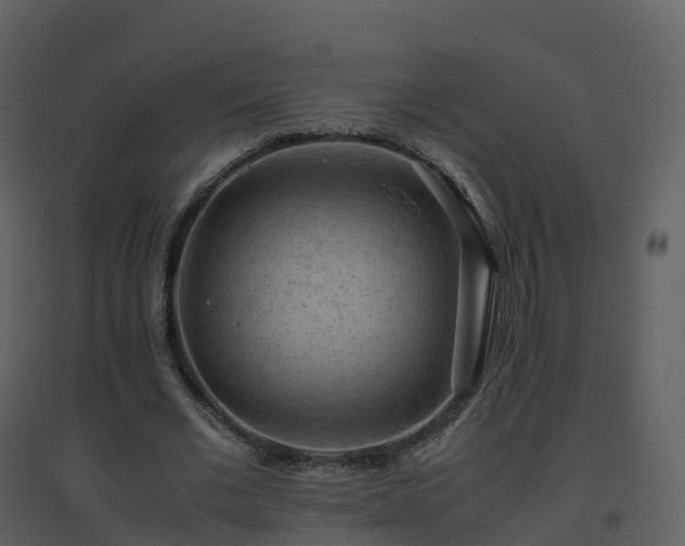 X0000096640677200802121111
