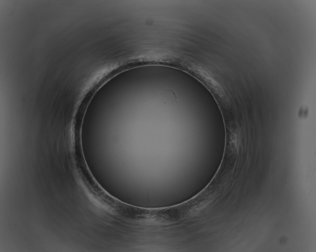 X0000096640678200802121111