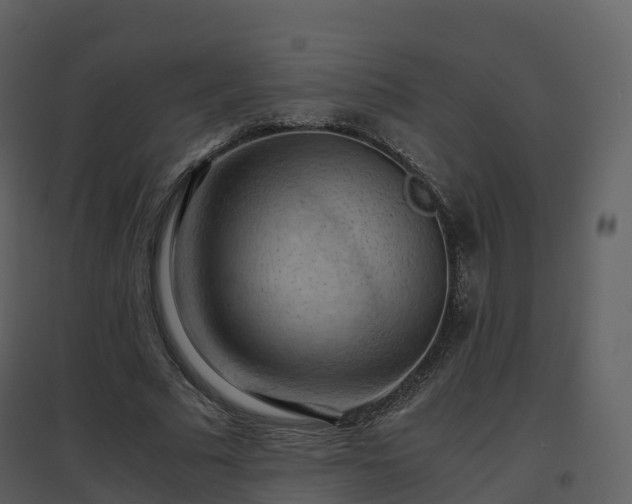 X0000096640681200802121110