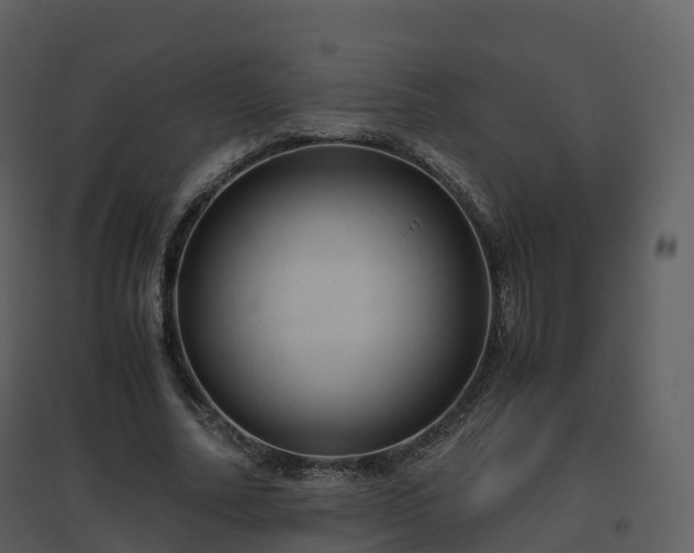 X0000096640682200802121110