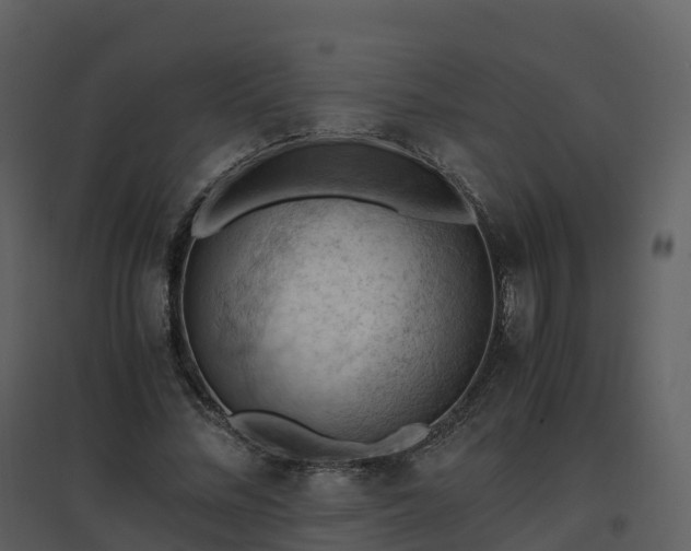 X0000096640684200802121110