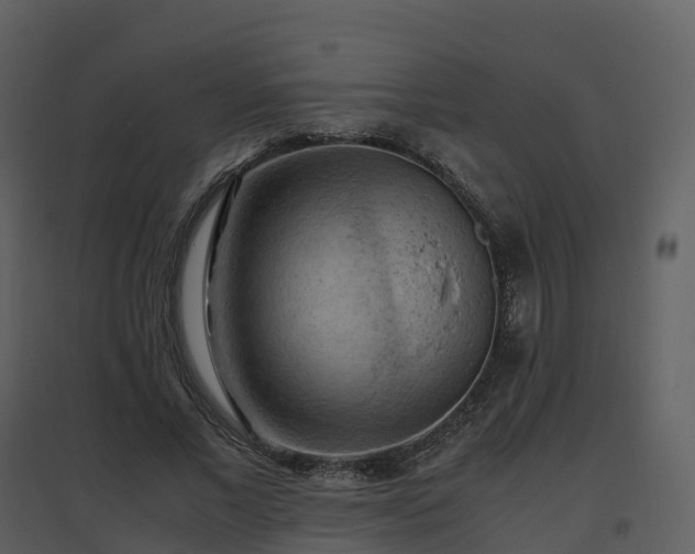 X0000096640685200802121110