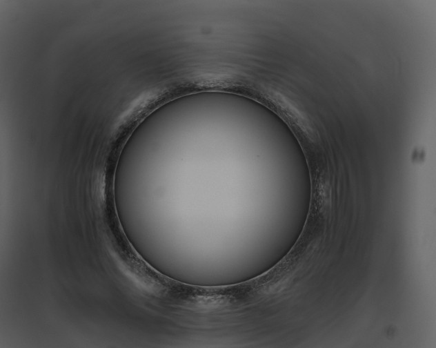 X0000096640686200802121110