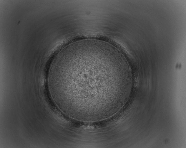 X0000096640687200802121110