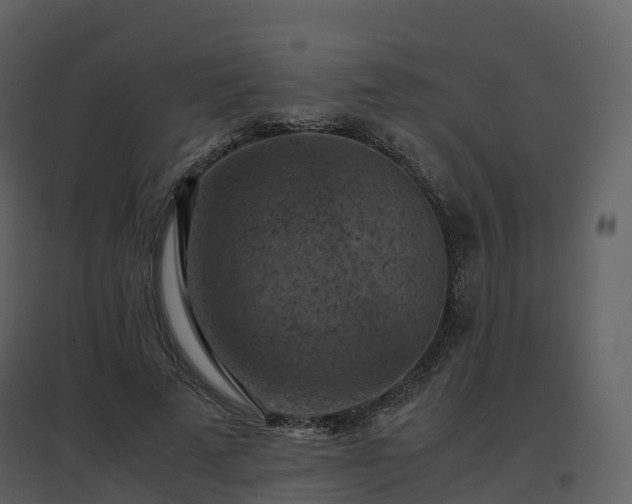 X0000096640689200802121110