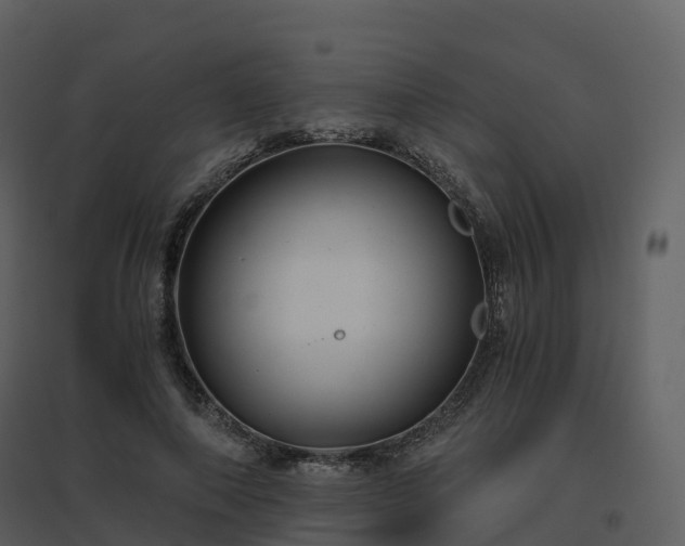 X0000096640690200802121110