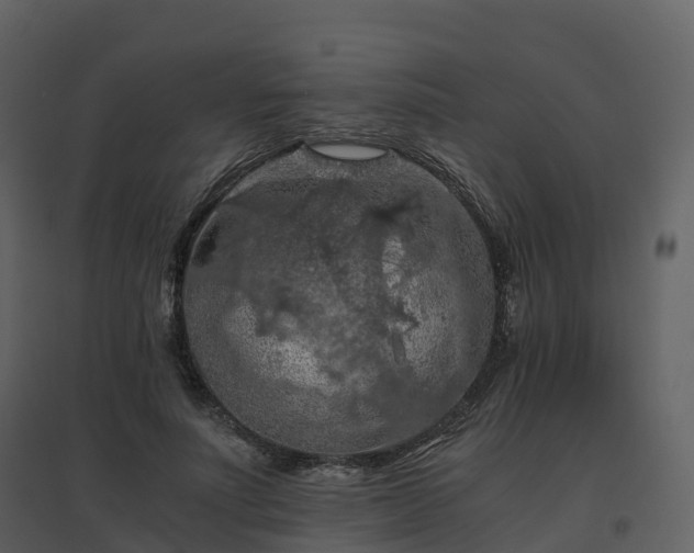 X0000096640691200802121110