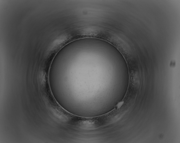 X0000096640692200802121110