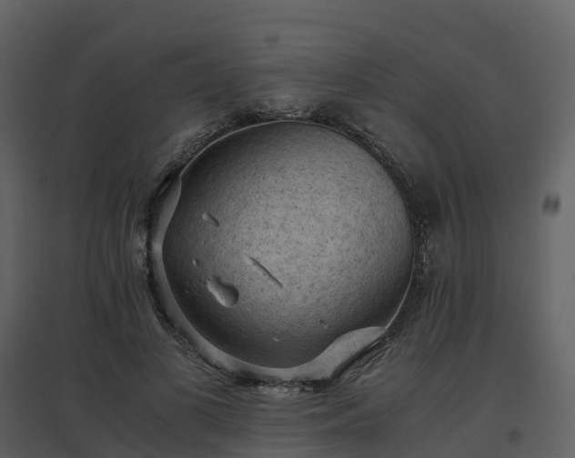 X0000096640693200802121110
