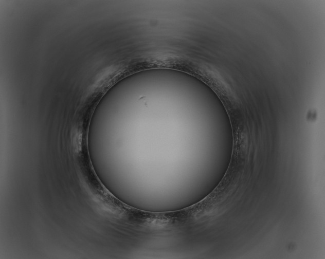 X0000096640694200802121110