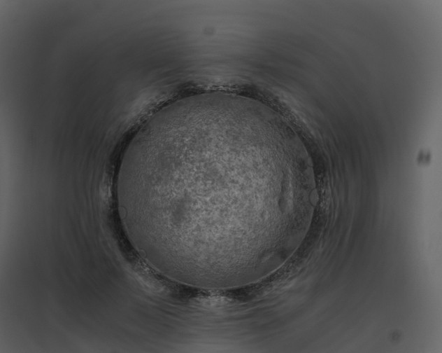 X0000096640695200802121110