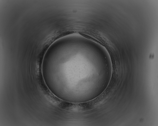 X0000096640696200802121110