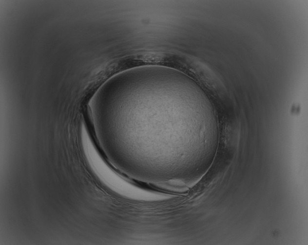 X0000096640697200802121110