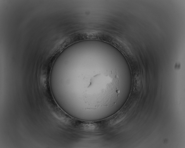 X0000096640698200802121110