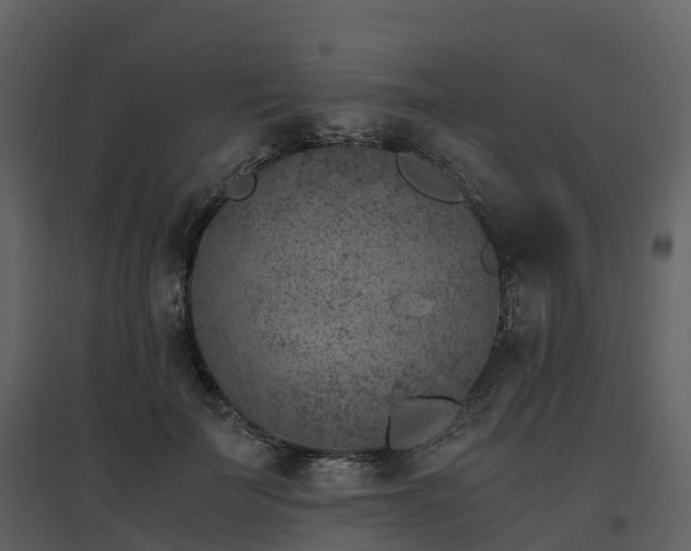 X0000096640699200802121110