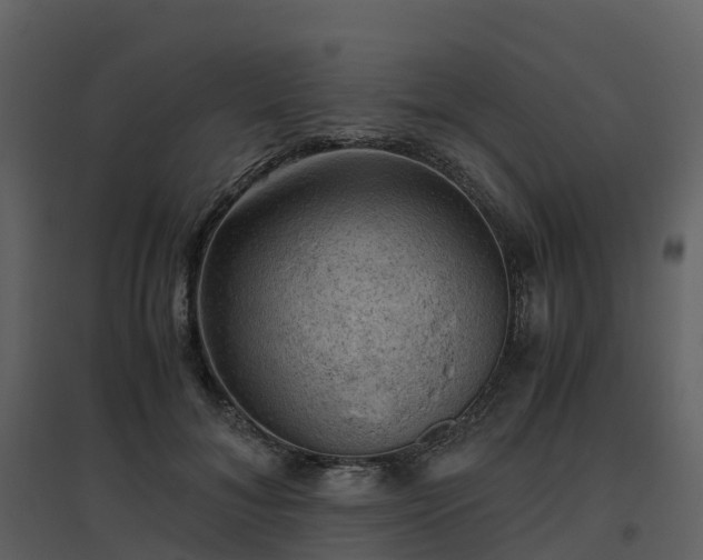 X0000096640700200802121110