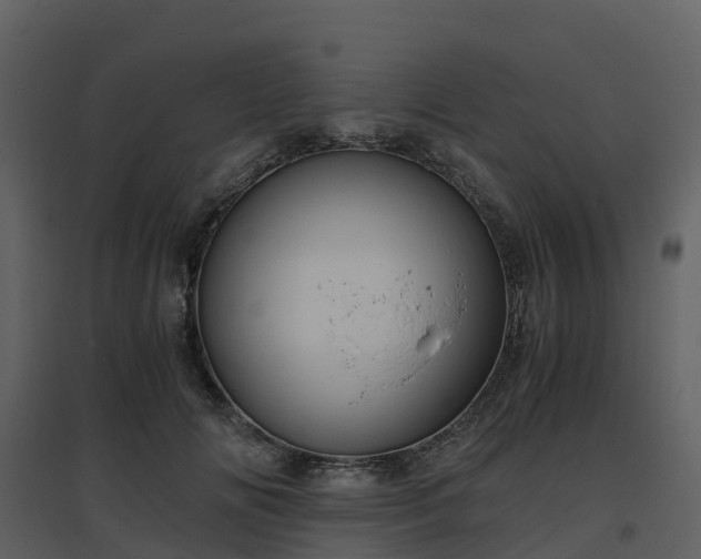 X0000096640702200802121110
