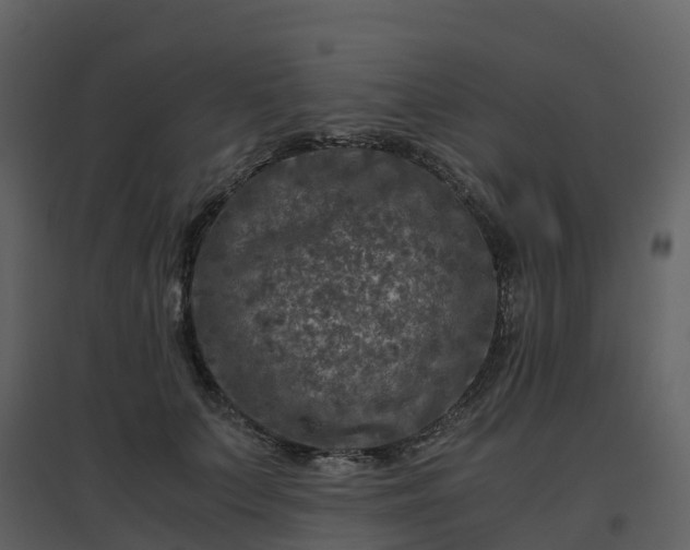 X0000096640703200802121110