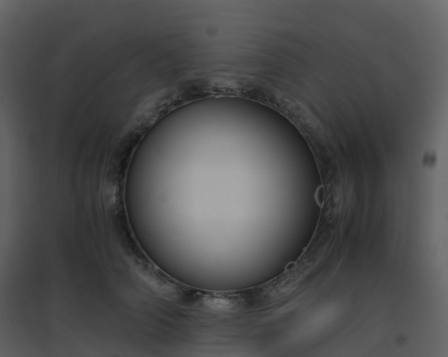X0000096640706200802121110