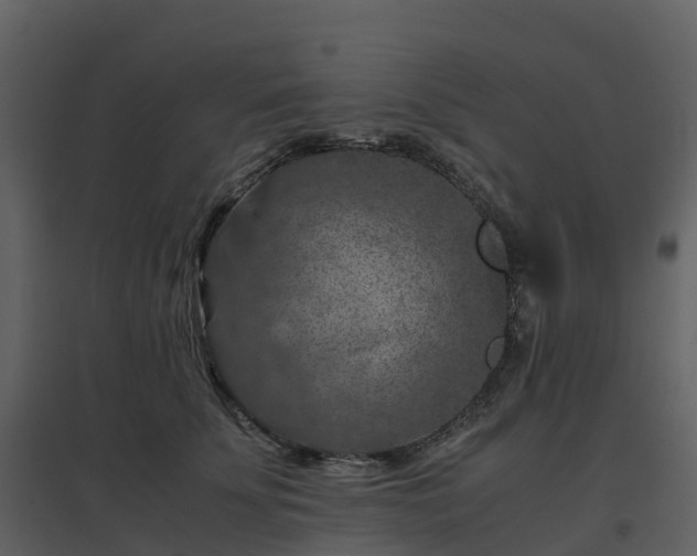 X0000096640707200802121110