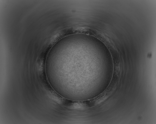 X0000096640708200802121110