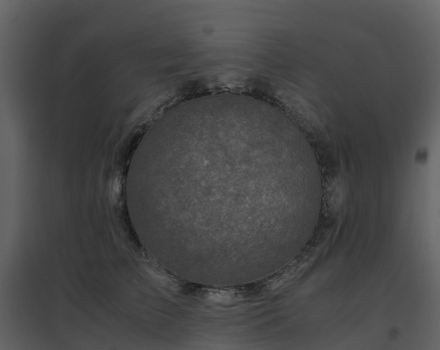 X0000096640709200802121110