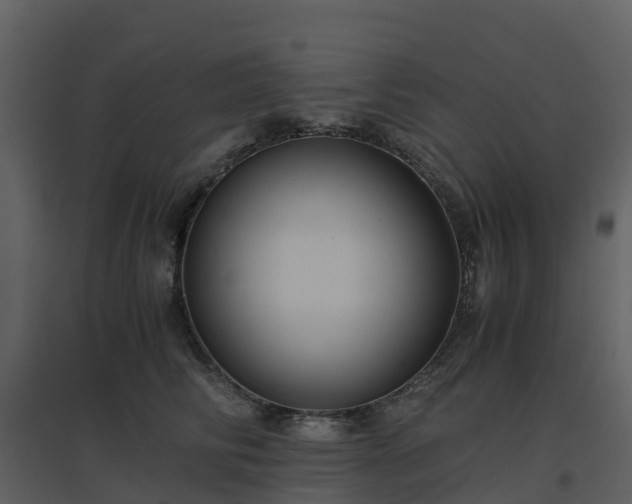 X0000096640710200802121110