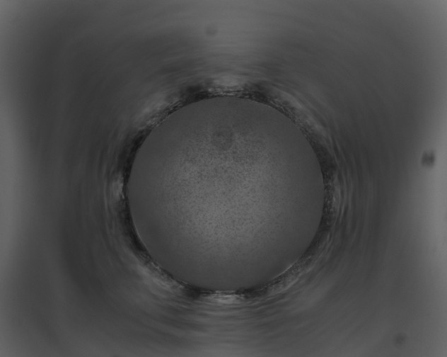 X0000096640711200802121110