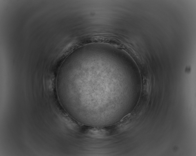 X0000096640712200802121110