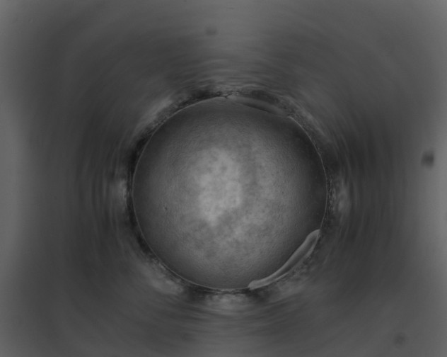 X0000096640716200802121110