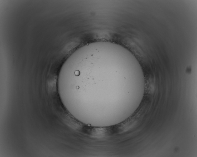 X0000096640717200802121110