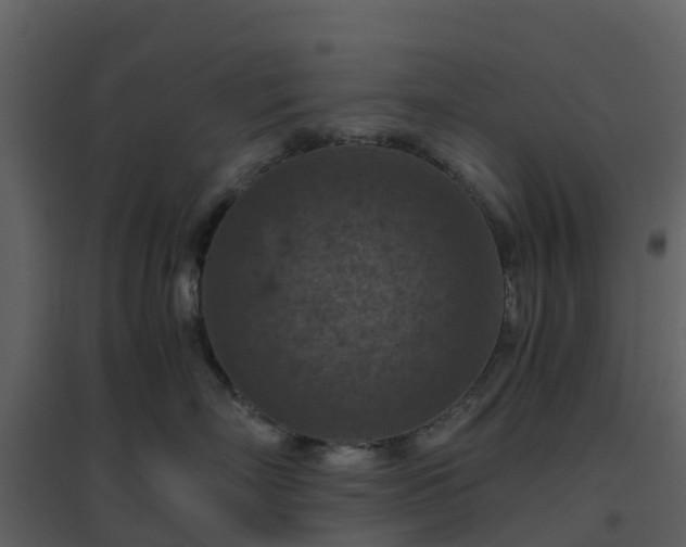 X0000096640718200802121110