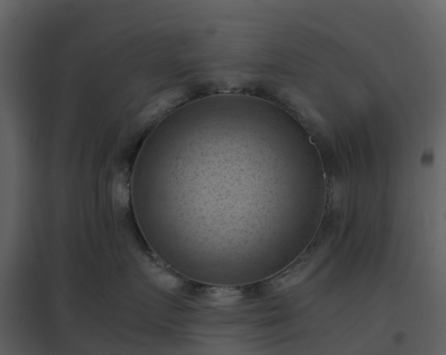 X0000096640719200802121110