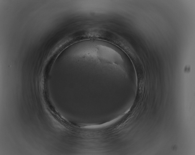 X0000096640722200802121109