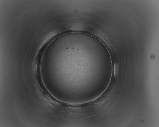 X0000096640723200802121109