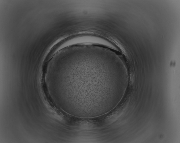 X0000096640724200802121109