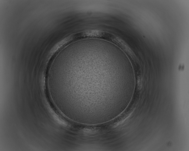 X0000096640725200802121109