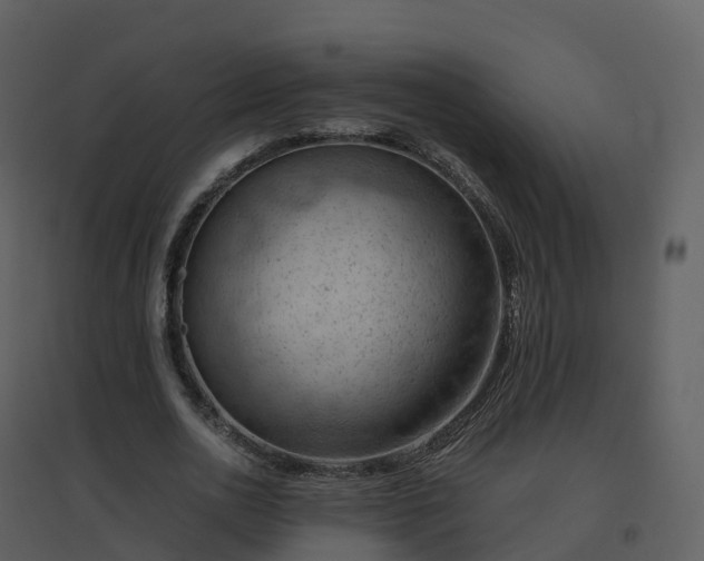 X0000096640726200802121109